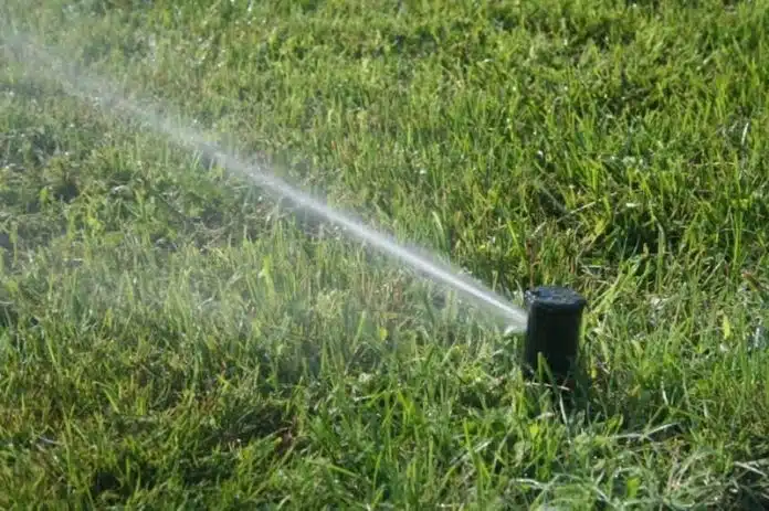 Optimisez l'irrigation de votre jardin les meilleures solutions sur le marché